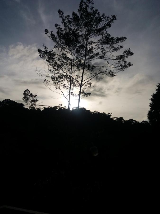 Quinta Los Volcanes ตูร์เรียลบา ภายนอก รูปภาพ