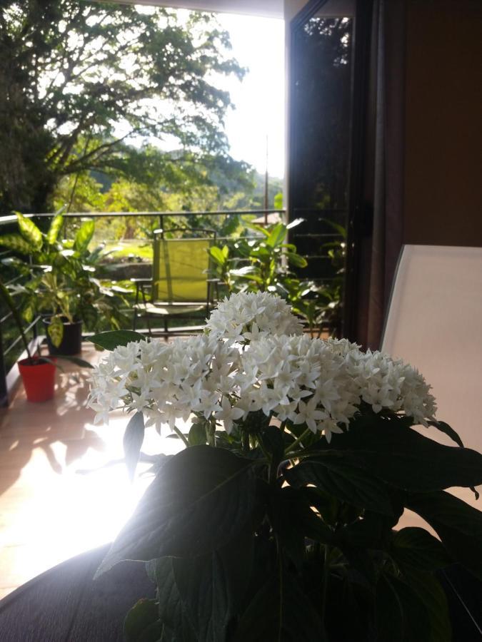 Quinta Los Volcanes ตูร์เรียลบา ภายนอก รูปภาพ