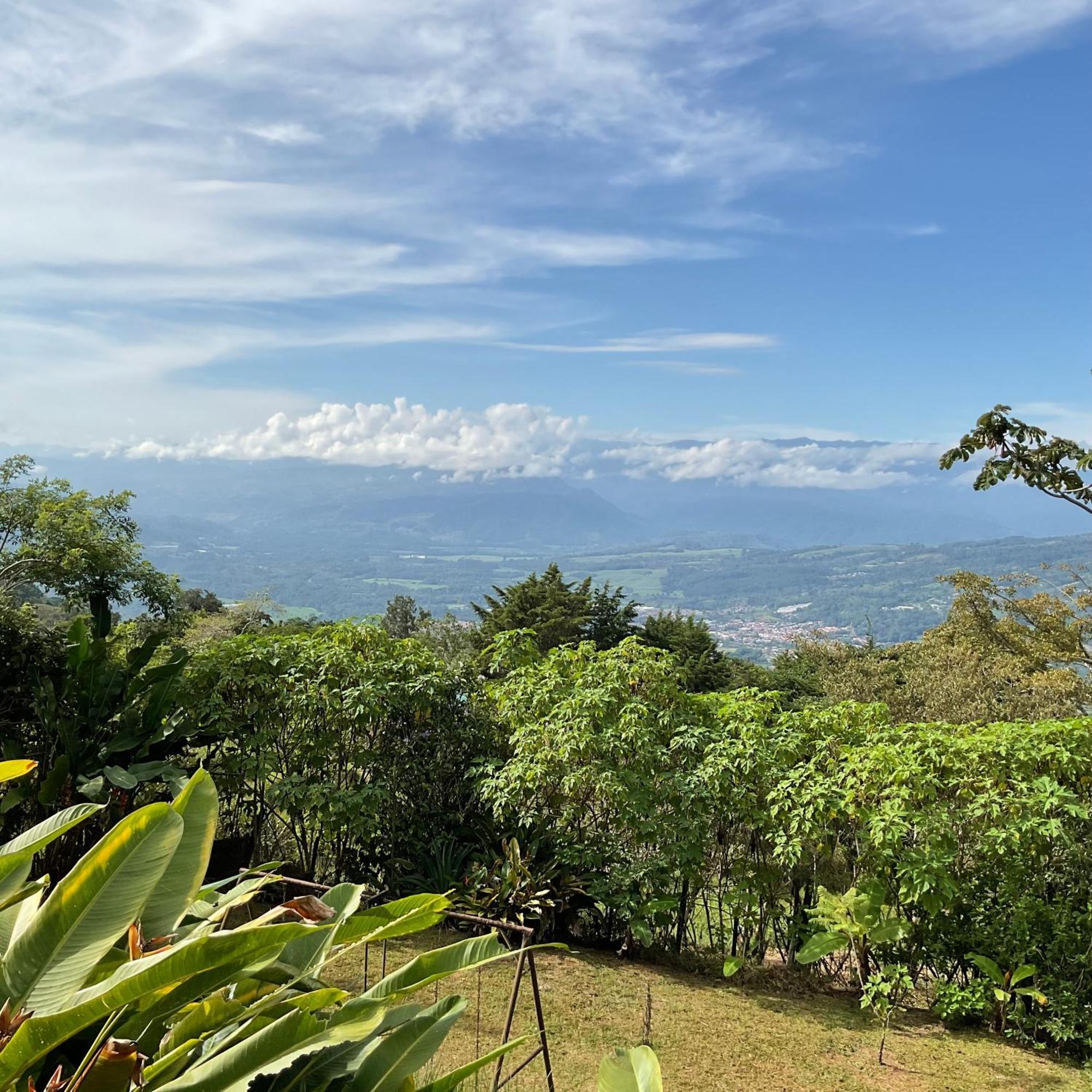 Quinta Los Volcanes ตูร์เรียลบา ภายนอก รูปภาพ